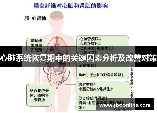 心肺系统恢复期中的关键因素分析及改善对策