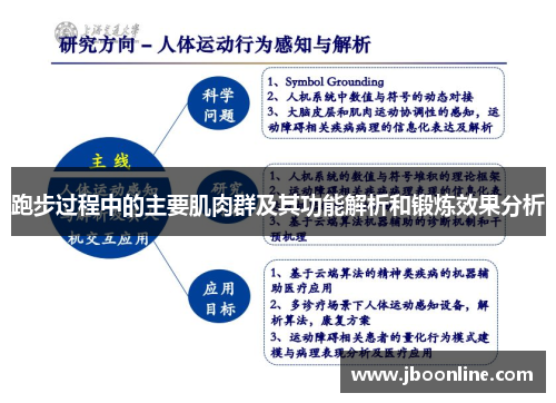 跑步过程中的主要肌肉群及其功能解析和锻炼效果分析