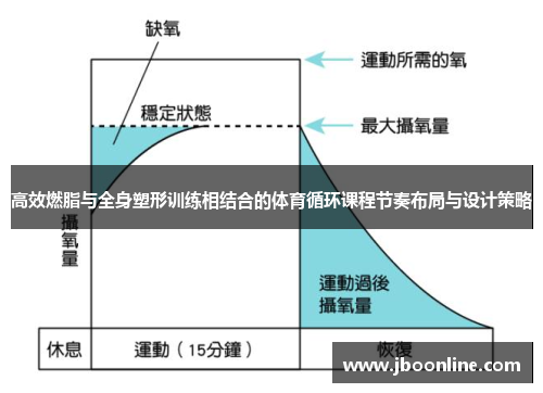 高效燃脂与全身塑形训练相结合的体育循环课程节奏布局与设计策略